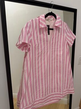 English Factory Pink White Stripe Dress Size Small NWT Collared A-Line Mini Chic